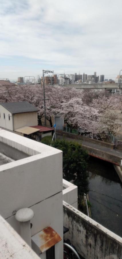 Cherry Blossom Koseicho 오카야마 외부 사진