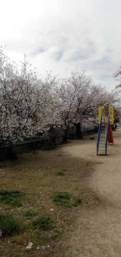 Cherry Blossom Koseicho 오카야마 외부 사진